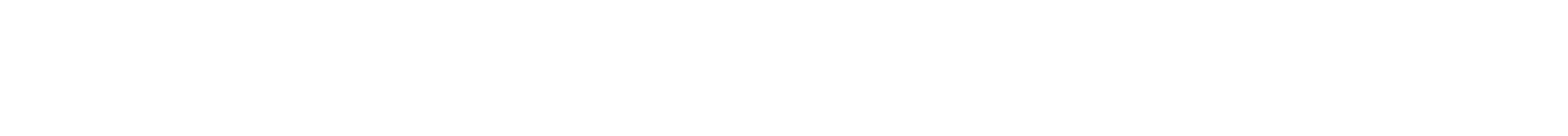 دينزا Z